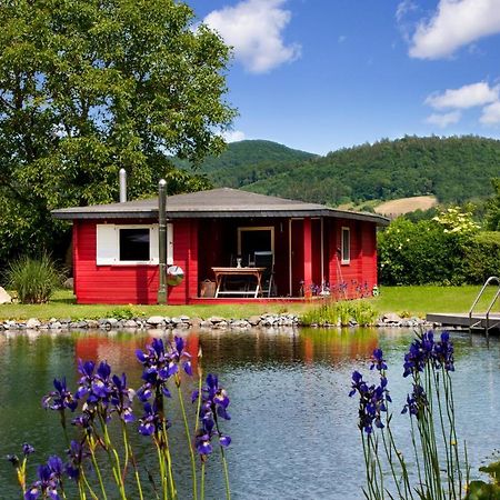 Romantic Wooden Lodge,Sauna,Schwimmteich,Alleinstehend,Absolut Ruhig Hessisch Oldendorf Dış mekan fotoğraf